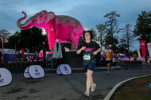 BIB: 
                            <button type="button" onclick="openModal(26529687)" class="btn btn-primary btn-sm float-right btn-popup" data-toggle="modal" data-target=".modal-high-quality">
                        <i class="fas fa-shopping-cart"></i> Add to Cart
                    </button>
                                            <button type="button" onclick="isThisMe(26529687, true)" class="btn btn-success btn-sm float-right btn-popup btn-isme hidden" data-toggle="tooltip" data-placement="bottom" title="นี่คือรูปของคุณใช่ไหม คลิกที่นี่เพื่อเอาเข้าอัลบั้ม">
                        <i class="fas fa-plus"></i> Add to album
                    </button>
                    <button type="button" onclick="isThisMe(26529687, false)" class="btn btn-warning btn-sm float-right btn-popup btn-isnotme hidden">
                        <i class="fas fa-ban"></i> Remove from album
                    </button>